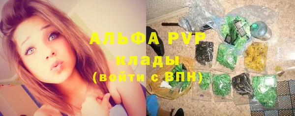 Альфа ПВП Бугульма