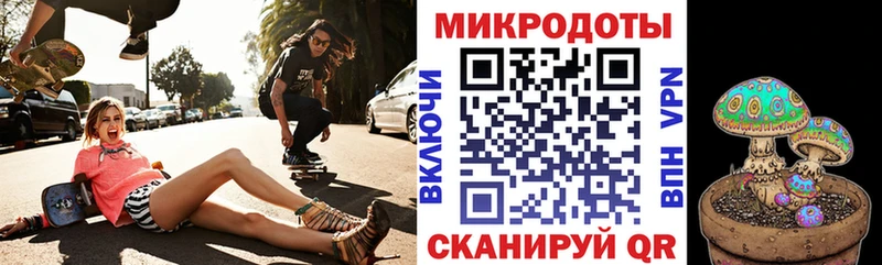 Купить закладки  Новомичуринск  Псилоцибиновые грибы Magic Shrooms 