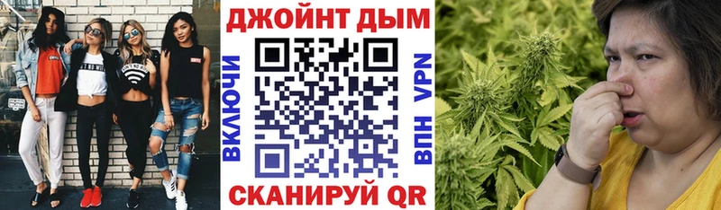 Купить где  Новомичуринск  МАРИХУАНА планчик 